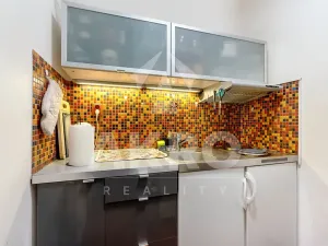 Prodej bytu 2+kk, Praha - Vinohrady, Velehradská, 47 m2