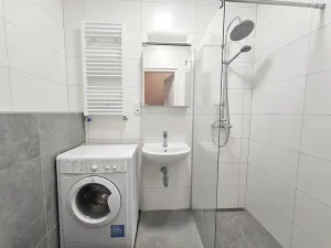 Pronájem bytu 1+kk, Praha - Vinohrady, Řipská, 28 m2
