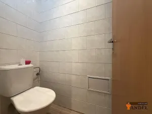 Pronájem obchodního prostoru, Havířov, Dlouhá třída, 55 m2