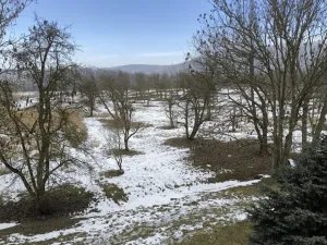 Prodej bytu 1+1, Chlumec, Stradovská, 45 m2