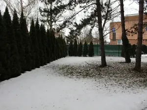 Prodej bytu 3+1, Prostějov, Marie Pujmanové, 59 m2