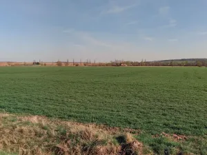 Prodej pole, Nechanice, 22509 m2