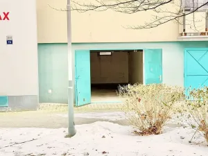 Pronájem ostatní, Ostrava - Bělský Les, Horní