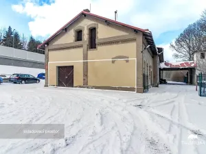 Prodej rodinného domu, Tachov, Plzeňská, 591 m2