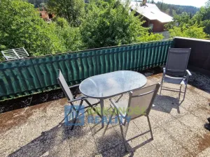 Prodej chaty, Černý Důl, 340 m2