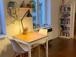 Pronájem bytu 1+1, Liberec, nám. Českých bratří, 40 m2