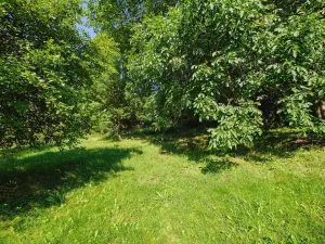 Prodej pozemku pro bydlení, Zlatá Olešnice, 4188 m2