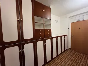 Pronájem bytu 2+1, Nový Vestec, Na Spořilově, 60 m2