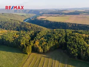 Prodej lesa, Všehrdy, 35057 m2