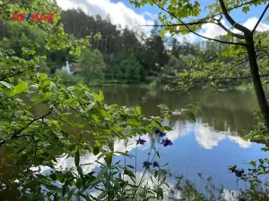 Prodej chaty, Plasy, 26 m2