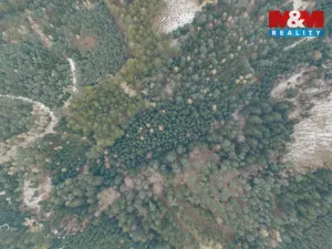 Prodej lesa, Hůrky, 6294 m2