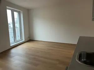 Pronájem bytu 1+kk, České Budějovice, Dobrovodská, 33 m2