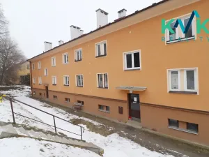 Prodej bytu 2+1, Žlutice, Nádražní, 55 m2