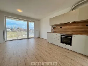 Pronájem bytu 2+kk, Brno, Trnkova, 44 m2