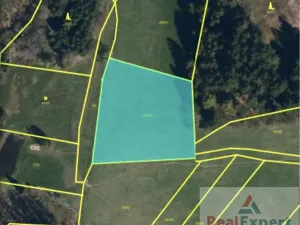 Prodej pole, Nový Rychnov, 73681 m2