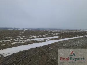 Prodej pole, Nový Rychnov, 73681 m2