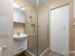 Pronájem bytu 1+1, Brno, Vavřinecká, 35 m2