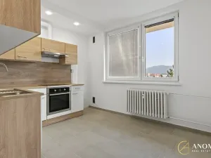 Pronájem bytu 1+1, Brno, Vavřinecká, 35 m2