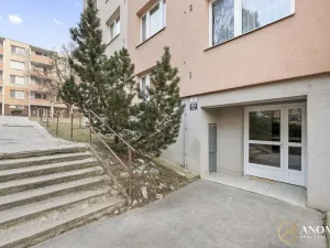 Pronájem bytu 1+1, Brno, Vavřinecká, 35 m2