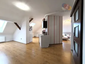 Pronájem bytu 3+kk, Prostějov, Plumlovská, 110 m2