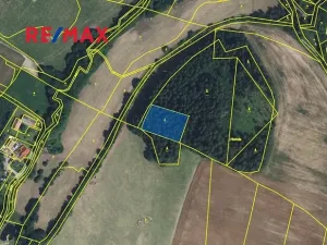 Prodej lesa, Písařov, 2762 m2