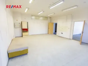 Prodej obchodního prostoru, Město Albrechtice, Míru, 1427 m2