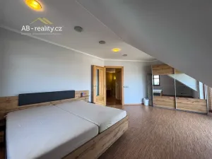 Prodej rodinného domu, Háj u Duchcova, Ke Knížáku, 243 m2