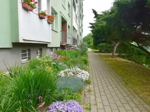 Pronájem bytu 1+1, Chomutov, Dřínovská, 35 m2