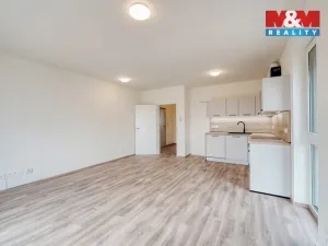 Pronájem bytu 2+kk, Plzeň - Litice, 48 m2