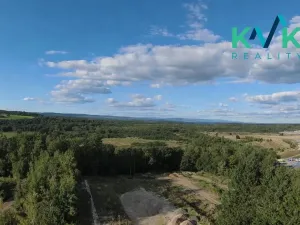 Pronájem komerčního pozemku, Březová, 5000 m2