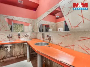 Prodej obchodního prostoru, Krnsko, 700 m2