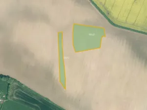 Prodej louky, Cerhonice, 41957 m2