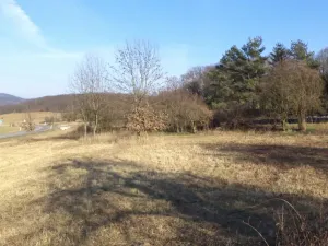 Prodej pozemku, Řehlovice - Radejčín, 2962 m2