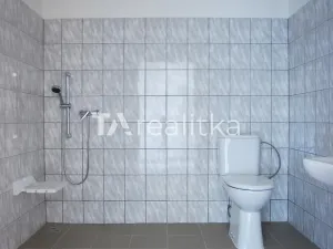 Pronájem bytu 1+kk, Hlinka, 44 m2