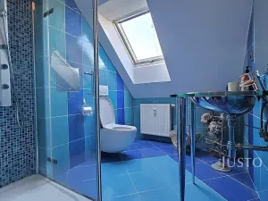 Prodej bytu 5+kk, Písek, Budějovická, 182 m2