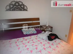 Pronájem bytu 2+kk, Mnichovo Hradiště, 45 m2