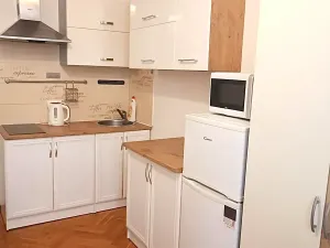 Pronájem bytu 2+kk, Praha - Žižkov, Orebitská, 45 m2