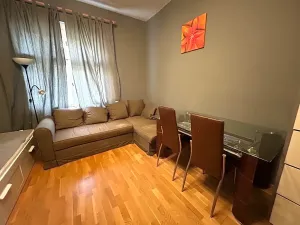 Pronájem bytu 1+kk, Praha - Vinohrady, Pod Zvonařkou, 27 m2