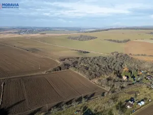 Prodej pole, Biskupice-Pulkov, 15670 m2