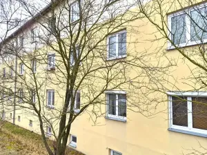 Prodej bytu 1+1, Dobříš, Březová, 31 m2