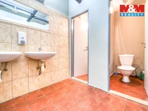 Pronájem obchodního prostoru, Plzeň - Jižní Předměstí, Americká, 102 m2