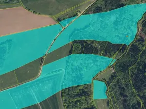 Prodej lesa, Lukavice, 90440 m2