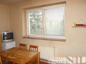 Pronájem bytu 1+kk, Líně, Plzeňská, 28 m2