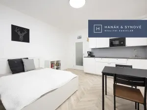 Pronájem bytu 1+kk, Brno, Cejl, 26 m2