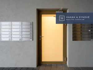 Pronájem bytu 1+kk, Brno, Cejl, 32 m2