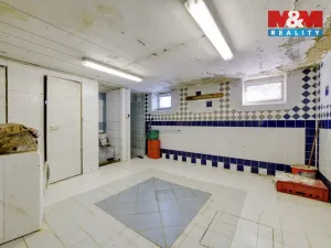 Prodej výrobních prostor, Mariánské Lázně - Úšovice, U Mlékárny, 1870 m2