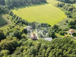 Prodej pozemku pro bydlení, Deštnice, 4068 m2