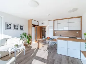 Prodej bytu 2+kk, Olomouc, Loudova, 50 m2