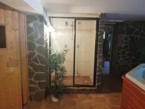 Prodej rodinného domu, Horní Bludovice, 330 m2