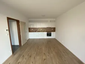 Pronájem bytu 2+kk, Plzeň, Diamantová, 60 m2